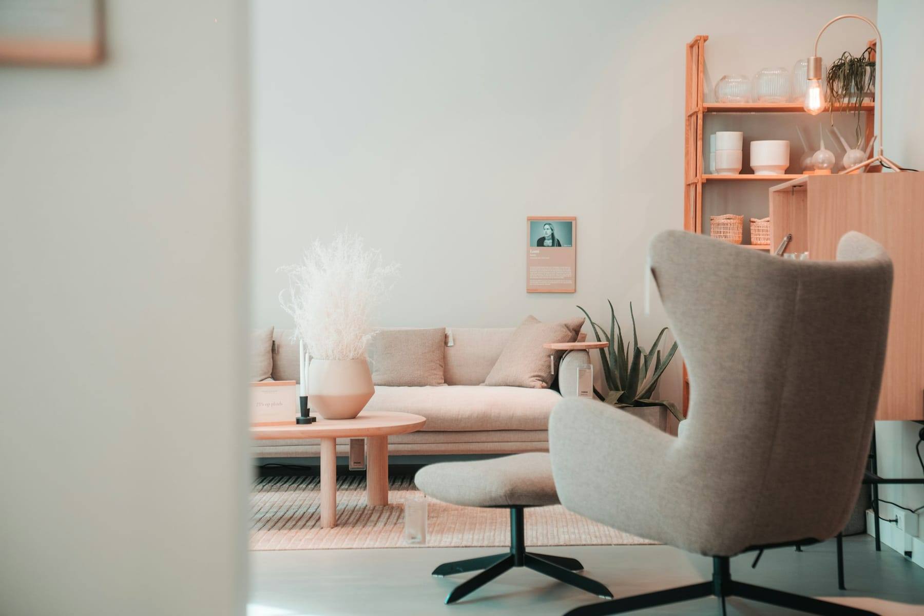 Calm lounge with a soft armchair and shelving