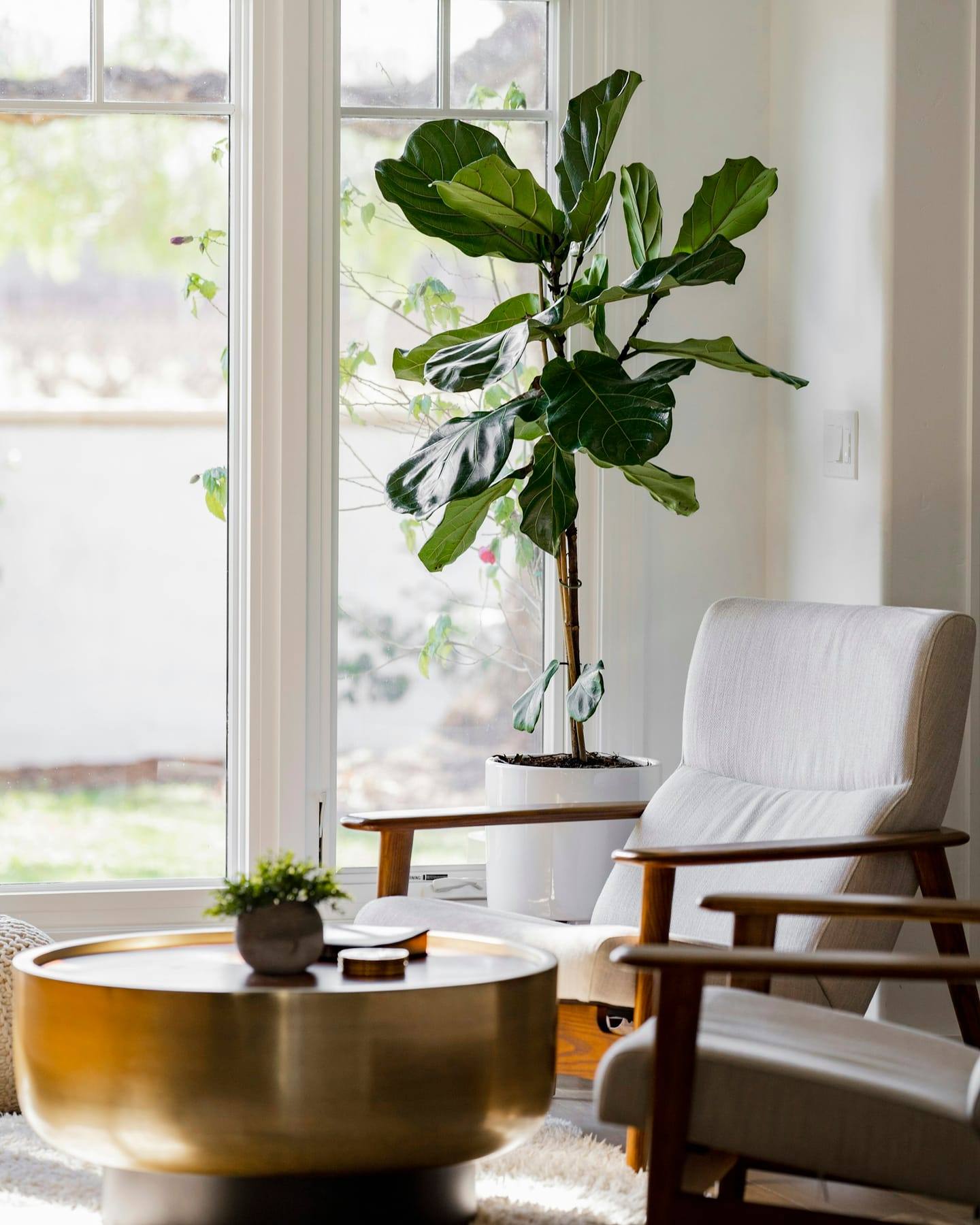 Bright reading corner with a white armchair and tall plants